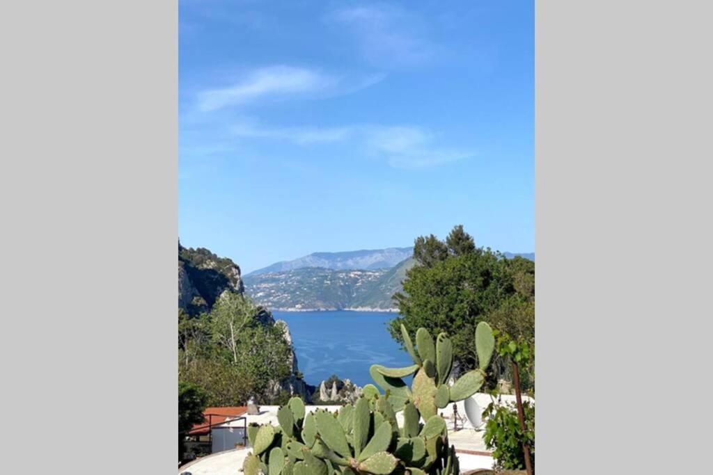 Casa Masgaba Villa Capri Bagian luar foto